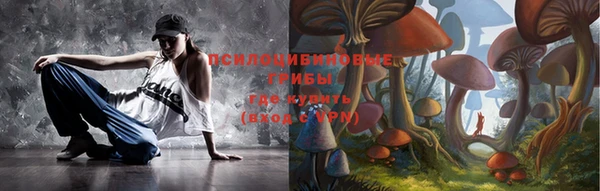 марки nbome Богданович