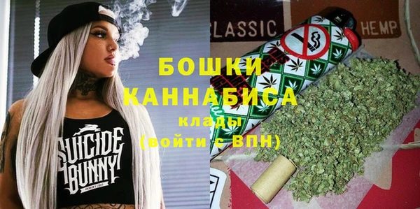 PSILOCYBIN Богородск
