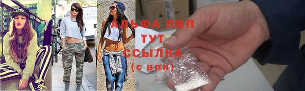 mdpv Богородицк