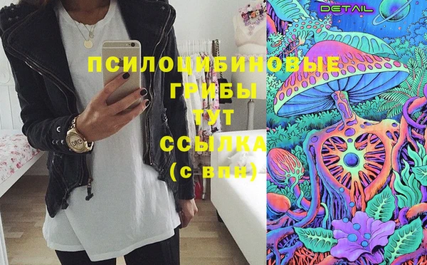 PSILOCYBIN Богородск