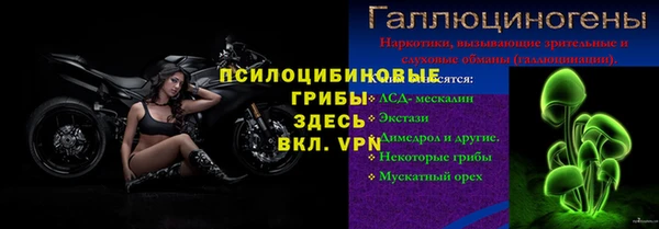 mdpv Богородицк