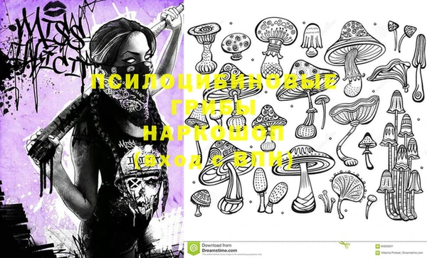 шишки Беломорск