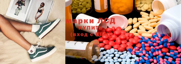 гашик Сосновка