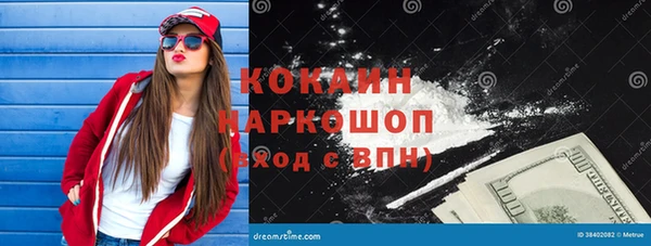 шишки Беломорск